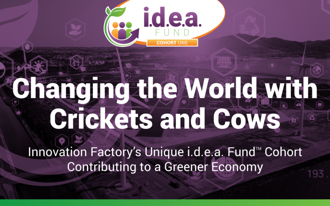 Changing the World with Crickets and Cows