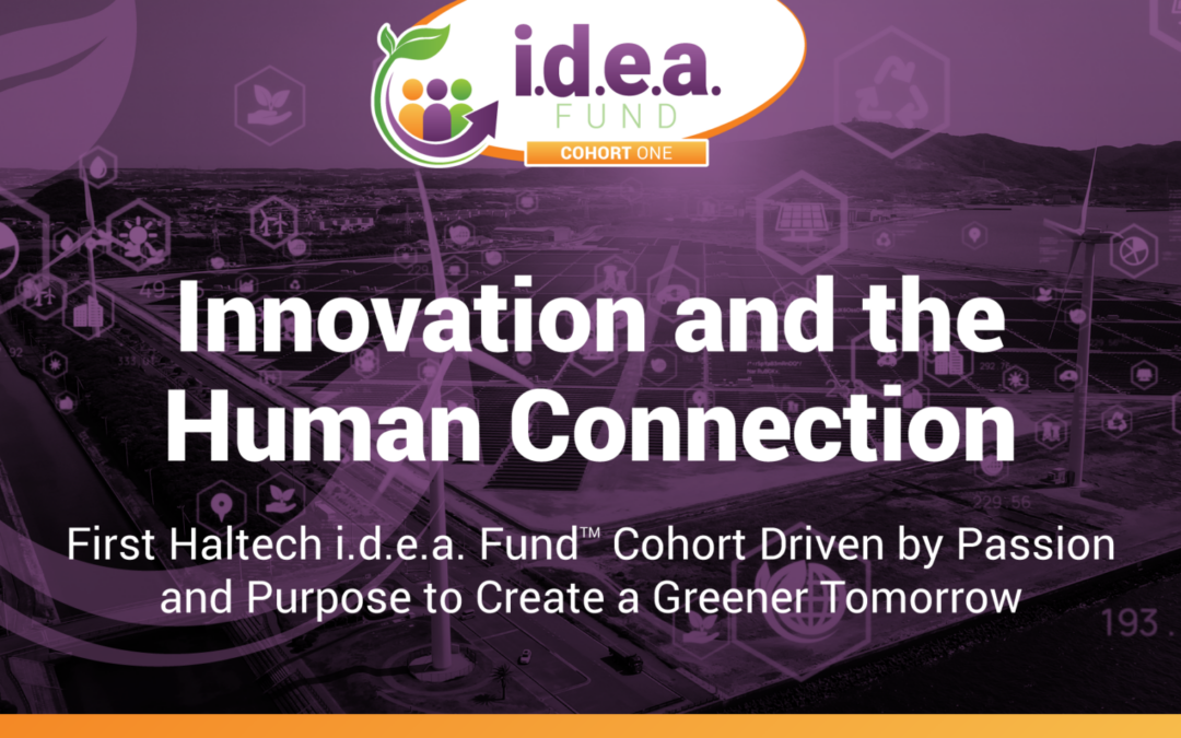 Innovation and the Human Connection